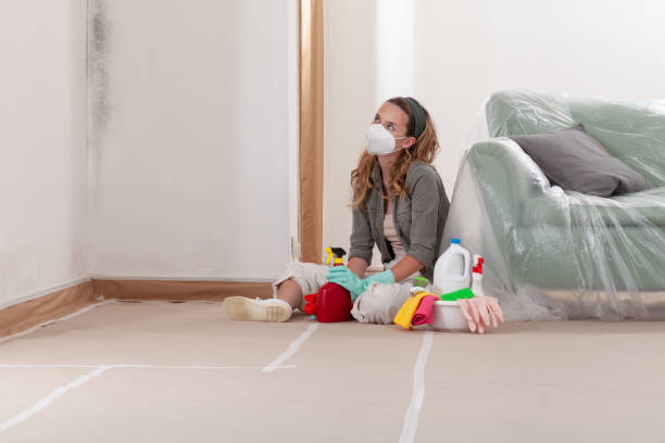 Reliable Mold Remediation contractor in Park Ridge, IL by Mold Remediation HQ